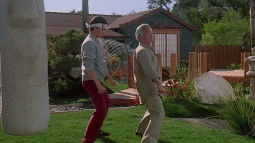 Gif animado do personagem Daniel San e Senhor Miyagi treinando karate no jardim